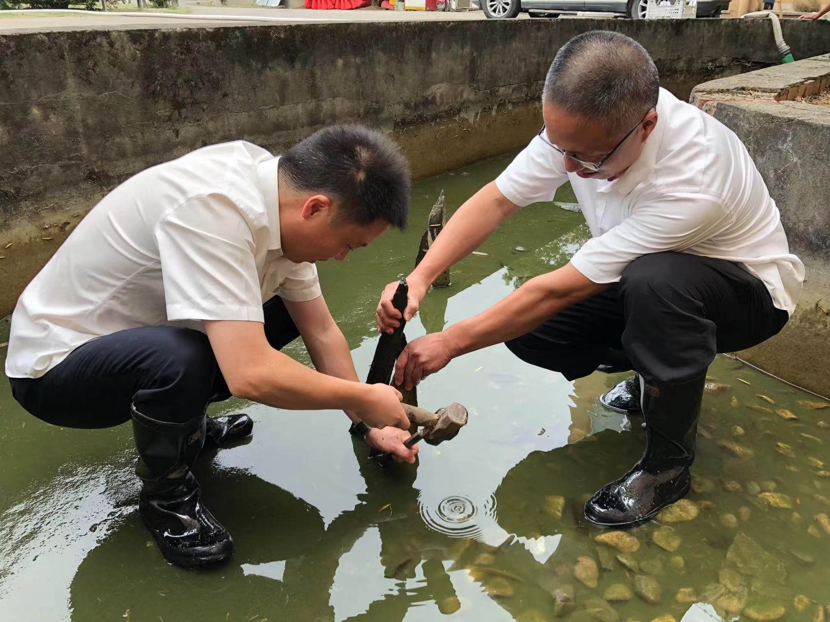 1664439812770774.jpg 照片4 清理水池石筍 洪清源拍攝.jpg