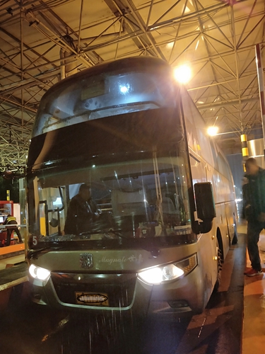 20190125肇事車輛_副本.jpg