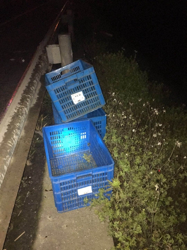 被清理的塑料筐(張亮攝)_副本.jpg