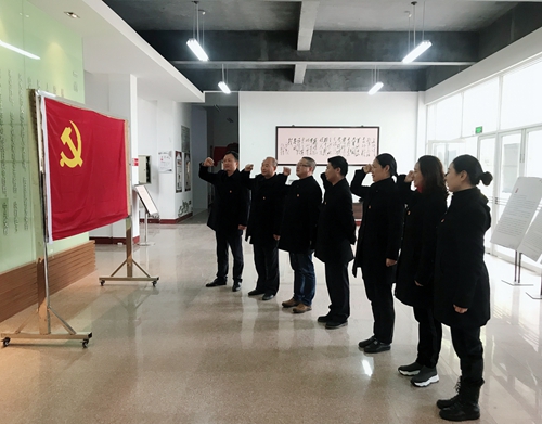 臨海南全體黨員重溫入黨誓詞.jpg